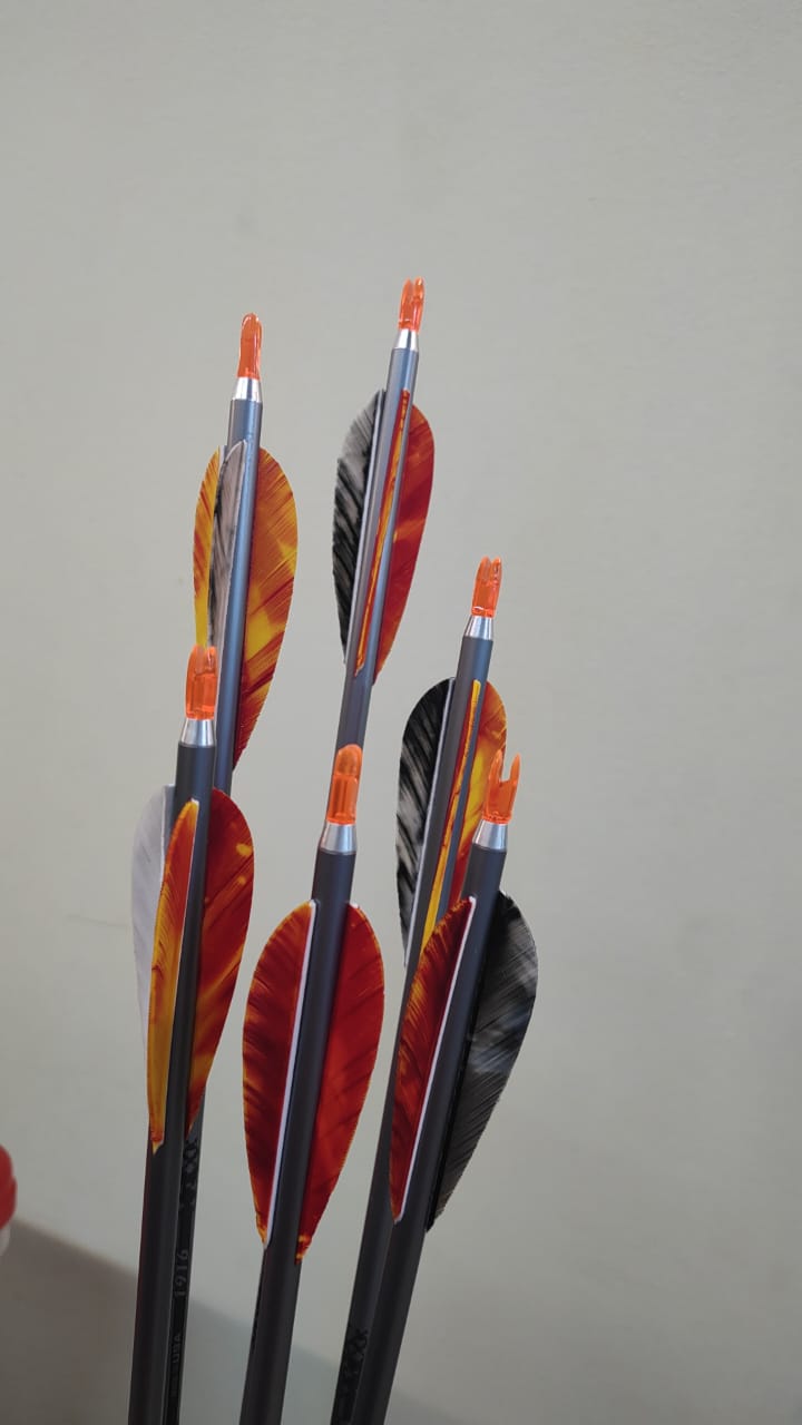 6 Flechas Easton Platinum Plus